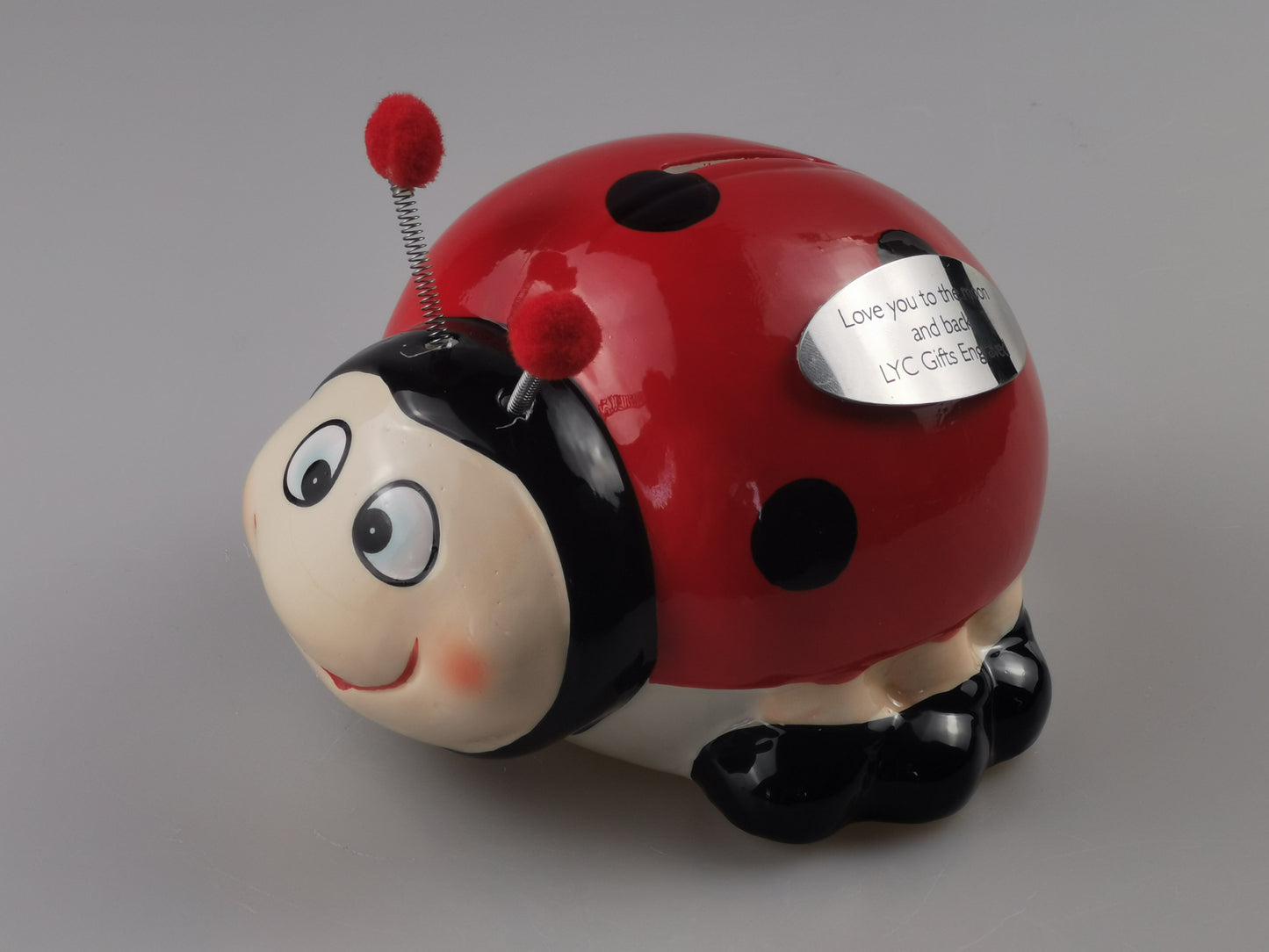 Custom Lady bug Piggy Bank