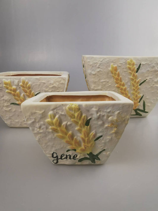 Square Wheat Planter, hand patining  planter, Spring Summer Decor, Hostess Present, Housewarming Gift,