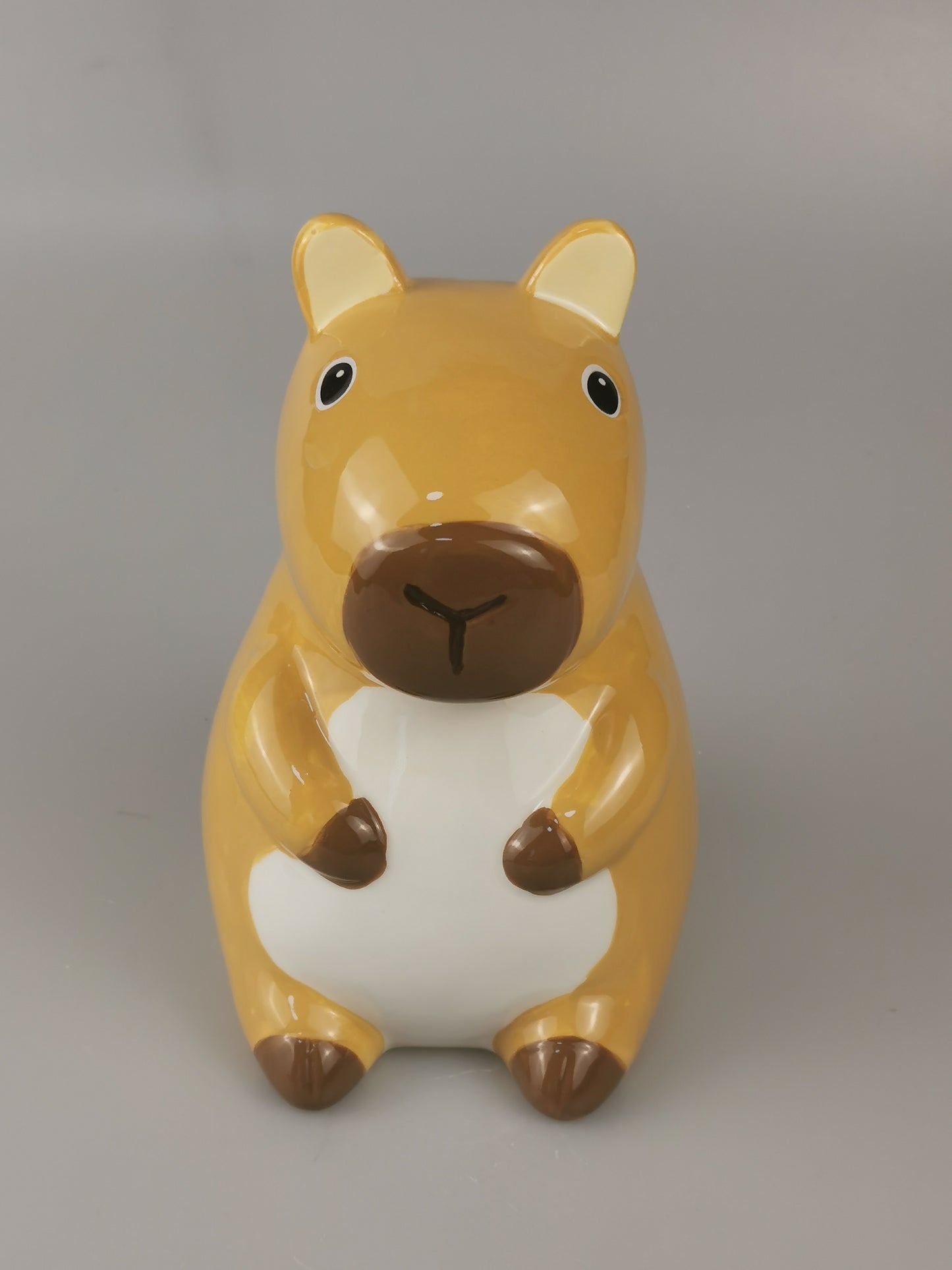 Custom Kapybara Piggy Bank