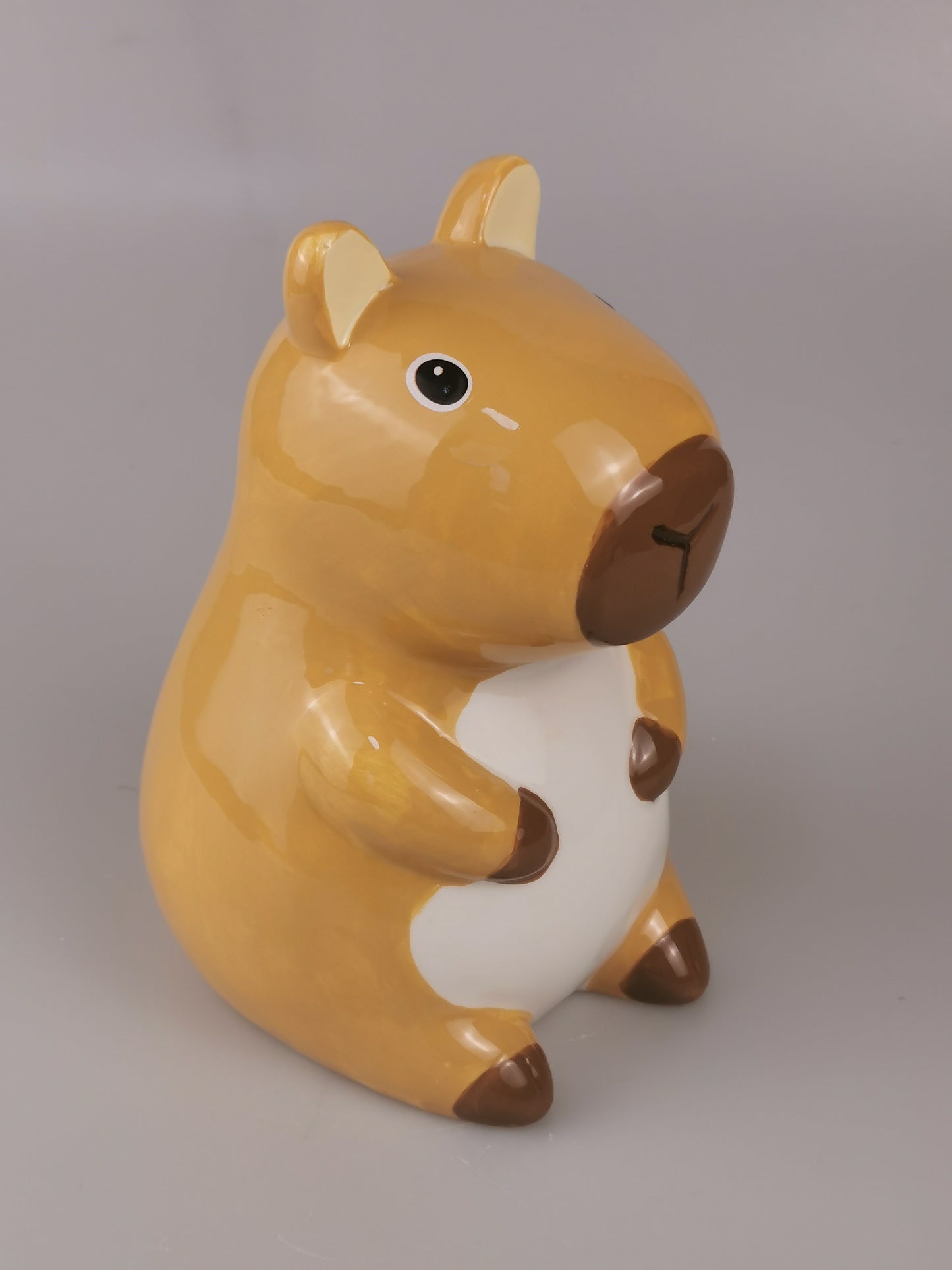 Custom Kapybara Piggy Bank