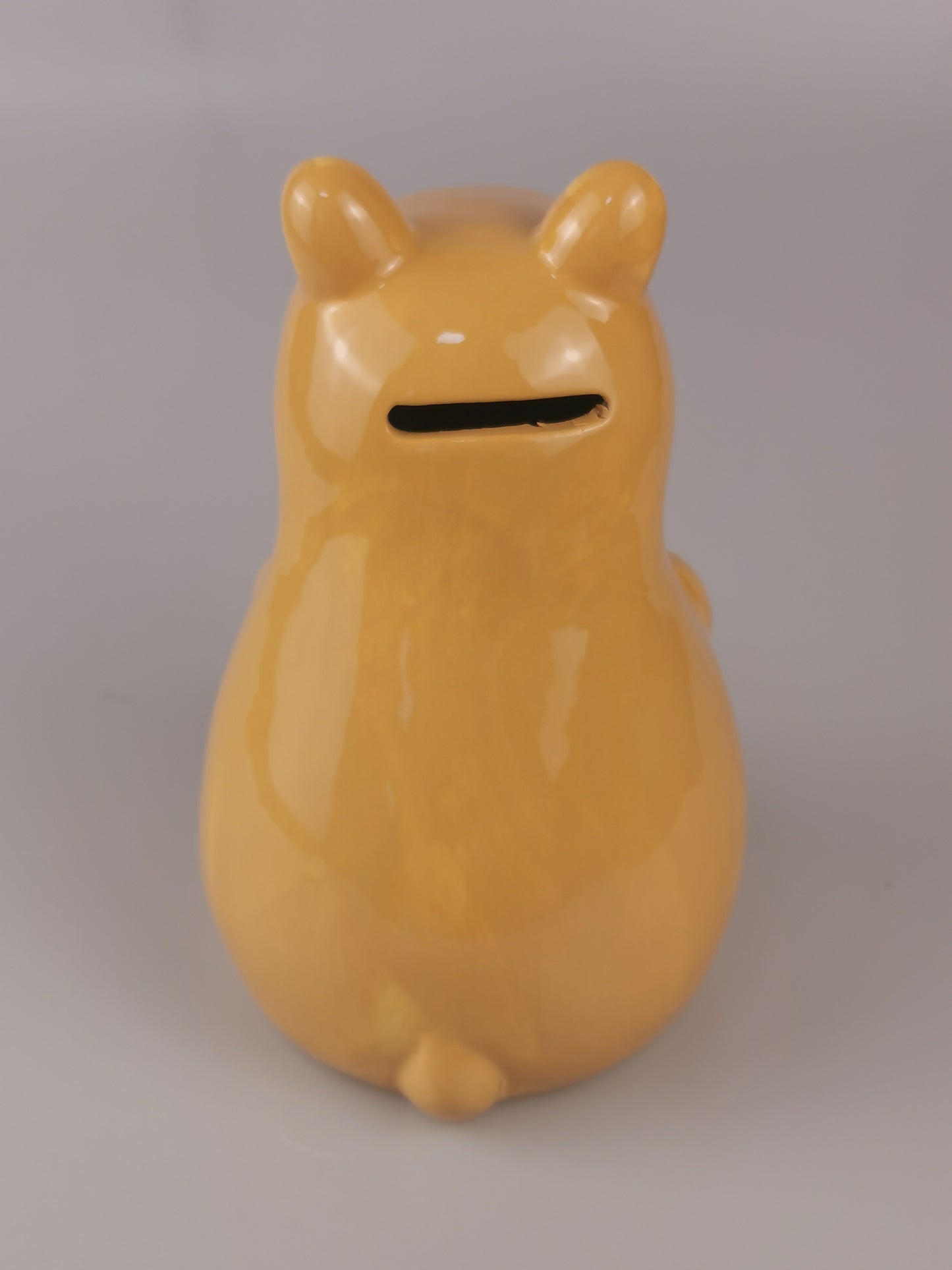 Custom Kapybara Piggy Bank
