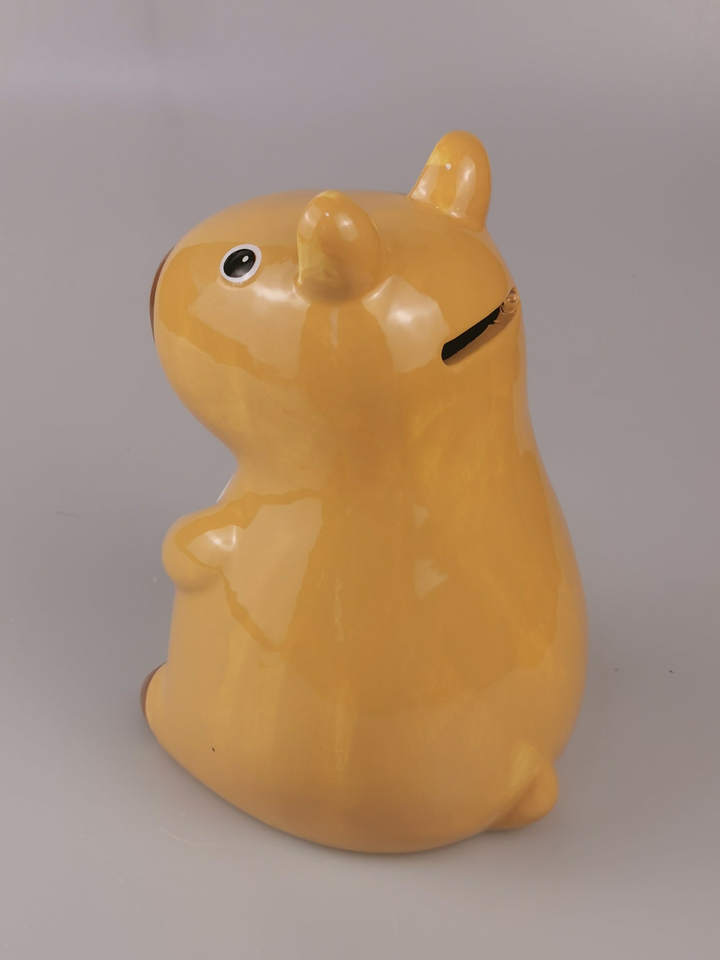 Custom Kapybara Piggy Bank