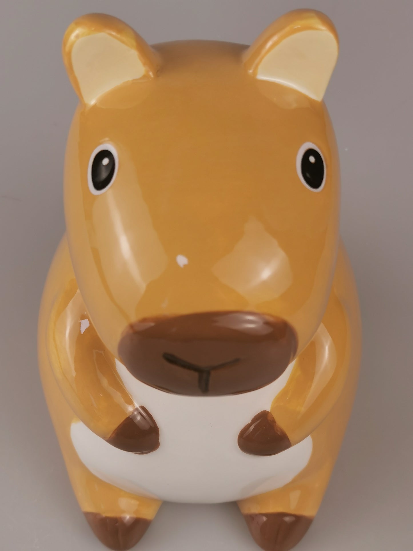 Custom Kapybara Piggy Bank