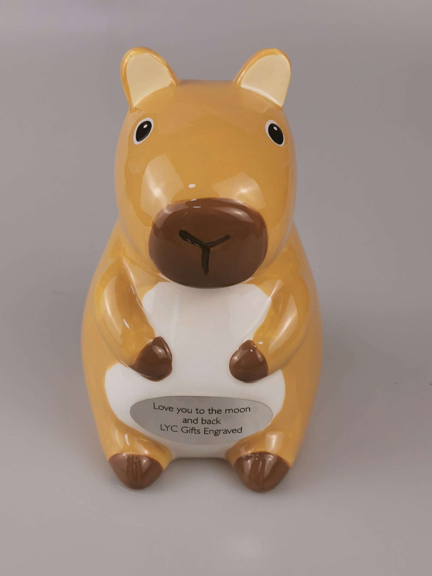 Custom Kapybara Piggy Bank