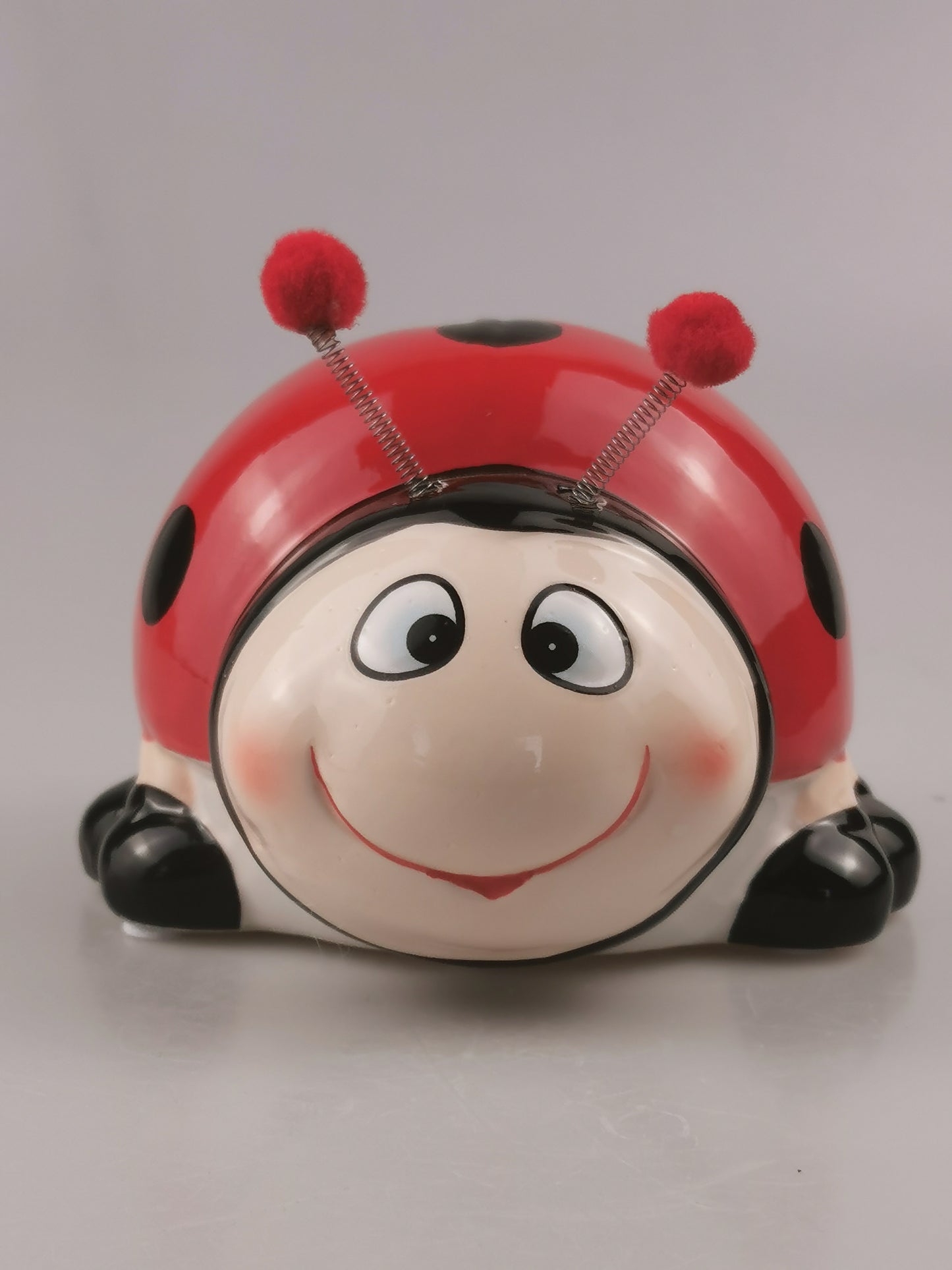Custom Lady bug Piggy Bank